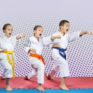 Martial Arts Lessons for Kids in Ashburn VA - Punching Focus Kids Sync