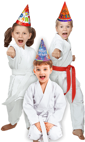 Martial Arts Birthday Party for Kids in Ashburn VA - Birthday Punches Page Banner